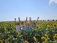 Наш языковой лагерь в Крыму - 2013