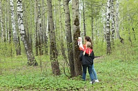 ВЫПУСКНОЙ ПИКНИК  2015 год.